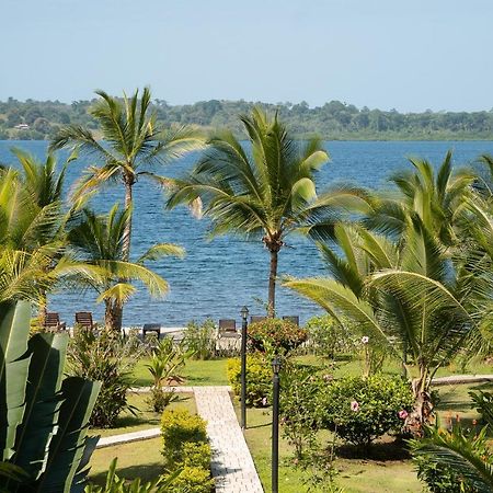 Dolphin Blue Paradise Bocas Town Bagian luar foto