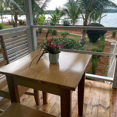 Dolphin Blue Paradise Bocas Town Bagian luar foto