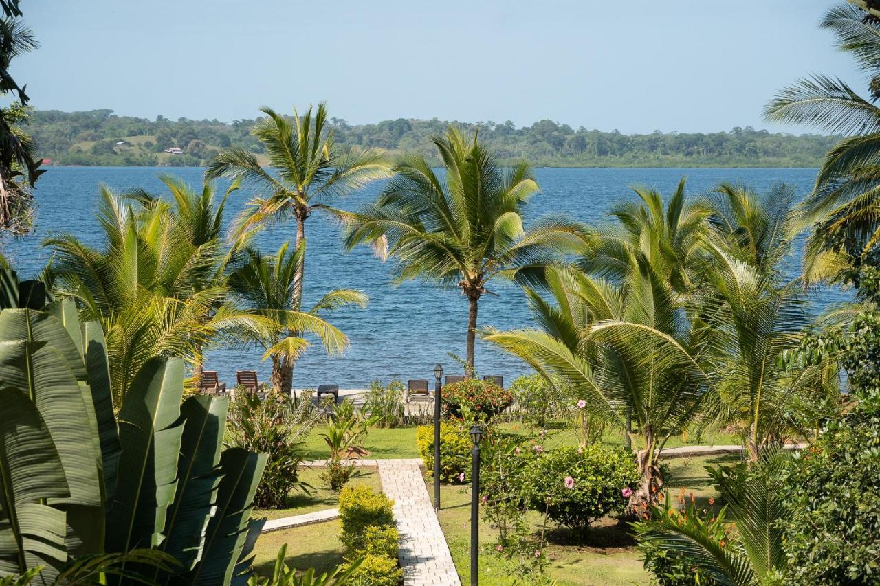 Dolphin Blue Paradise Bocas Town Bagian luar foto