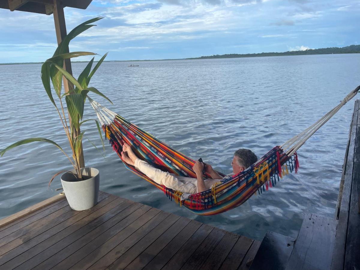 Dolphin Blue Paradise Bocas Town Bagian luar foto