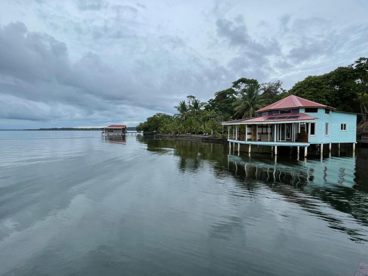 Dolphin Blue Paradise Bocas Town Bagian luar foto