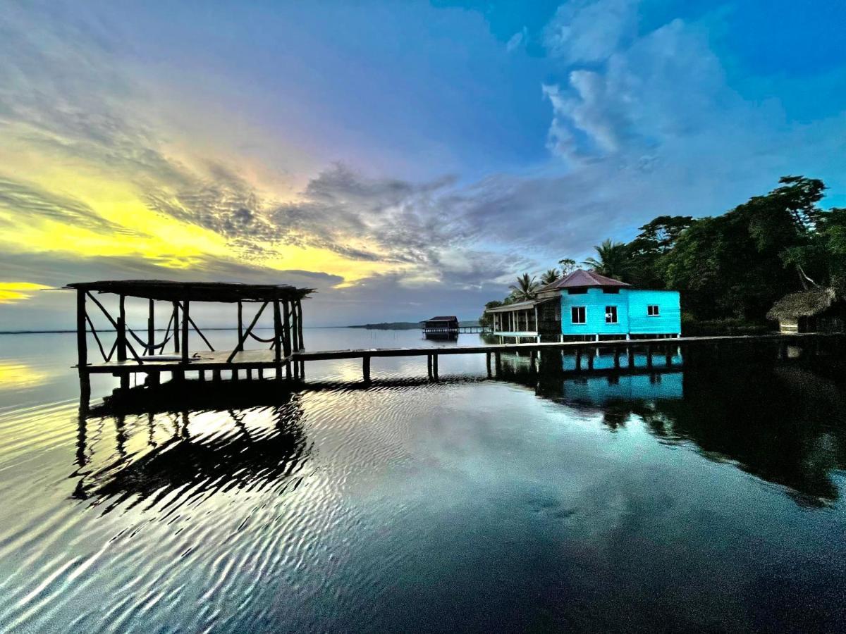 Dolphin Blue Paradise Bocas Town Bagian luar foto