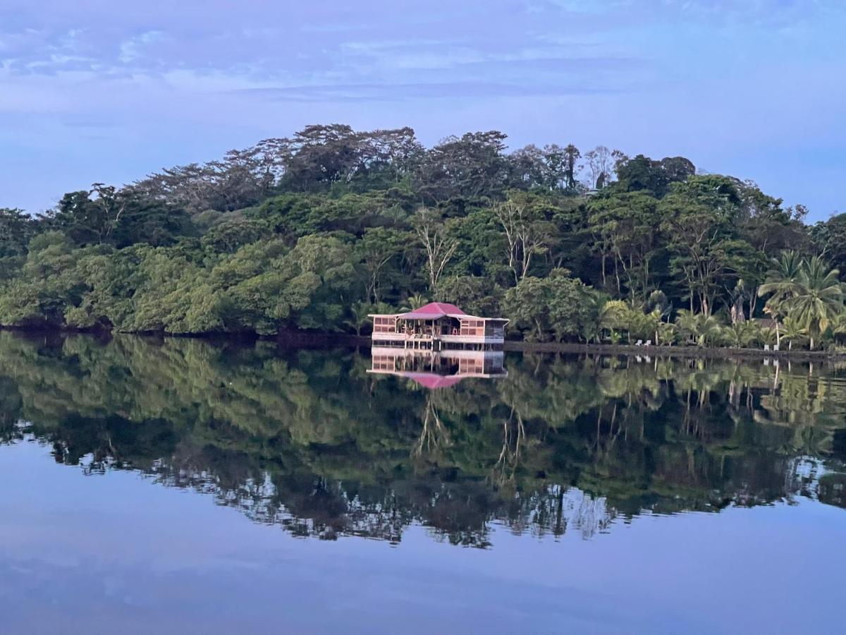 Dolphin Blue Paradise Bocas Town Bagian luar foto