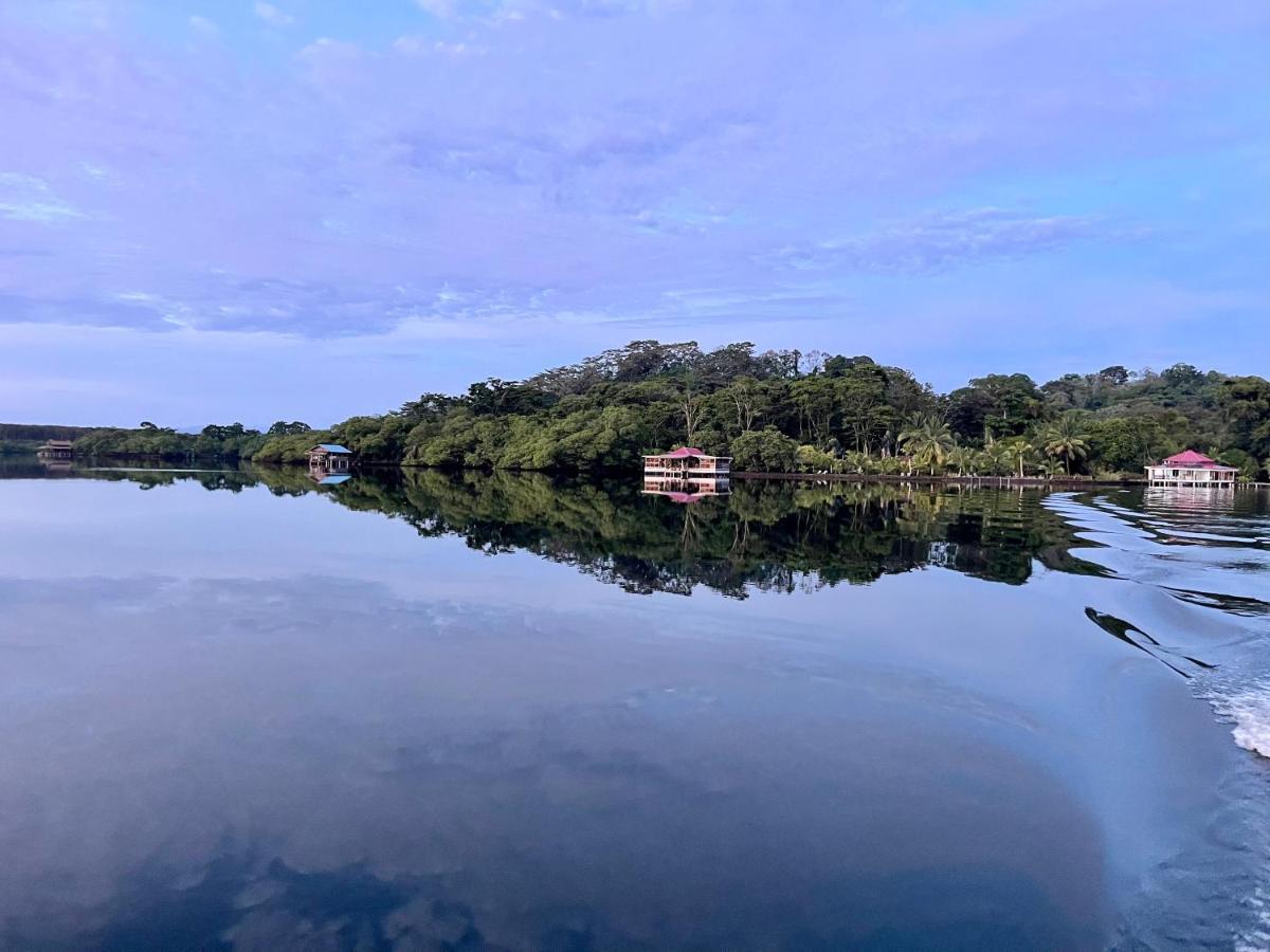 Dolphin Blue Paradise Bocas Town Bagian luar foto