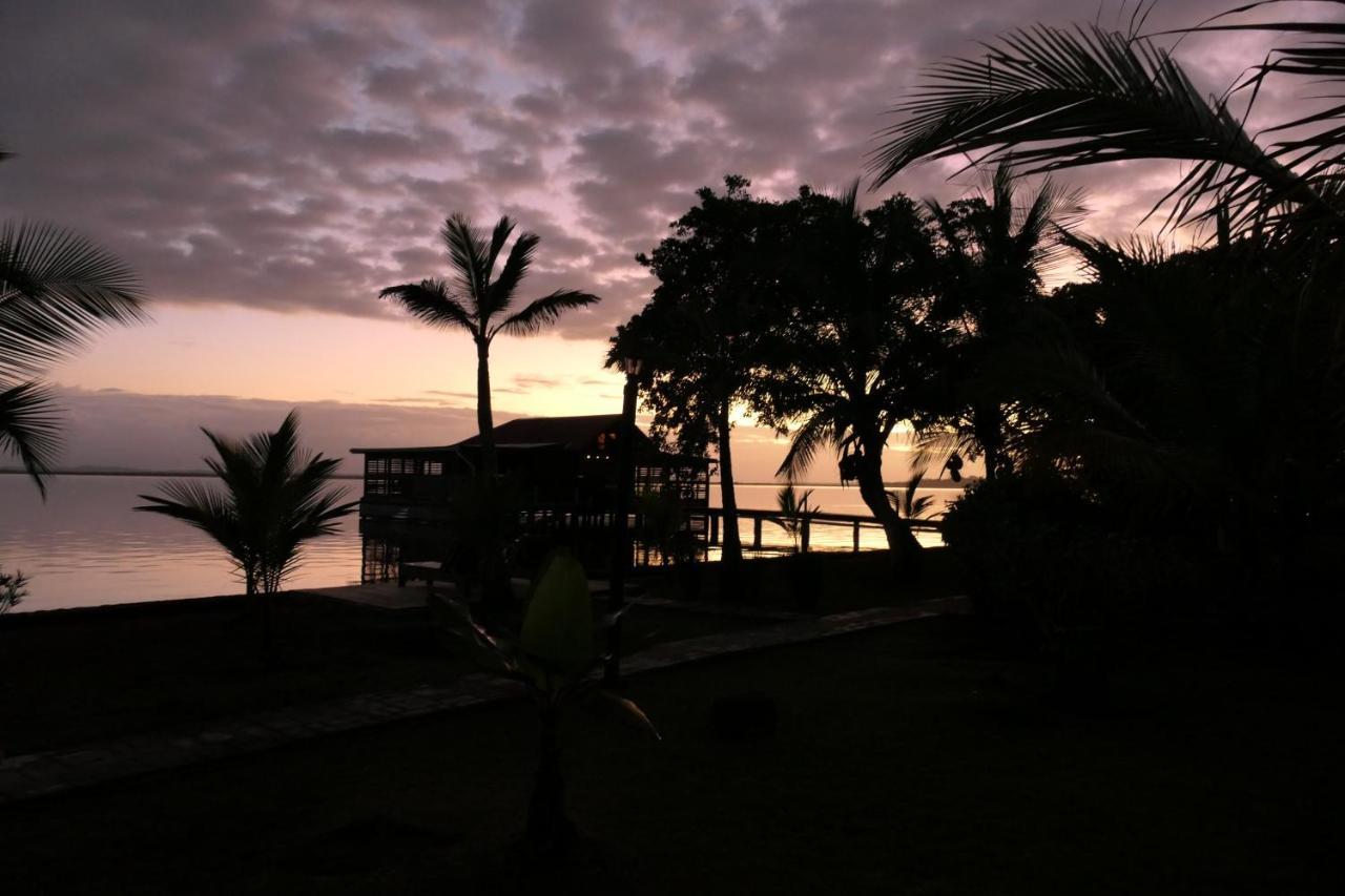 Dolphin Blue Paradise Bocas Town Bagian luar foto