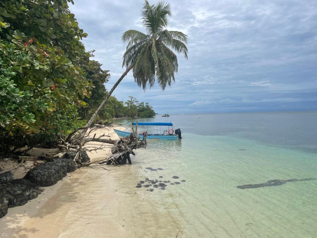 Dolphin Blue Paradise Bocas Town Bagian luar foto