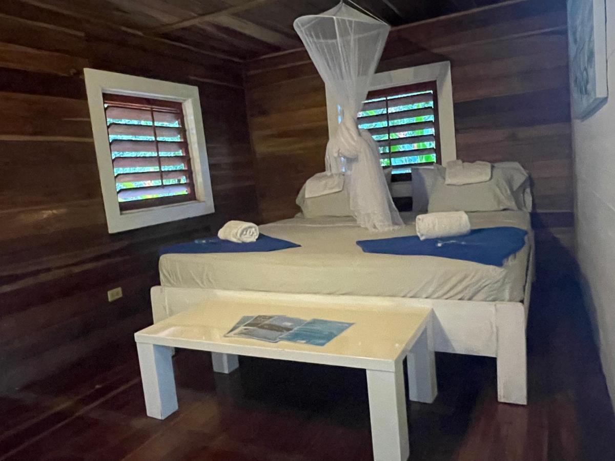 Dolphin Blue Paradise Bocas Town Bagian luar foto