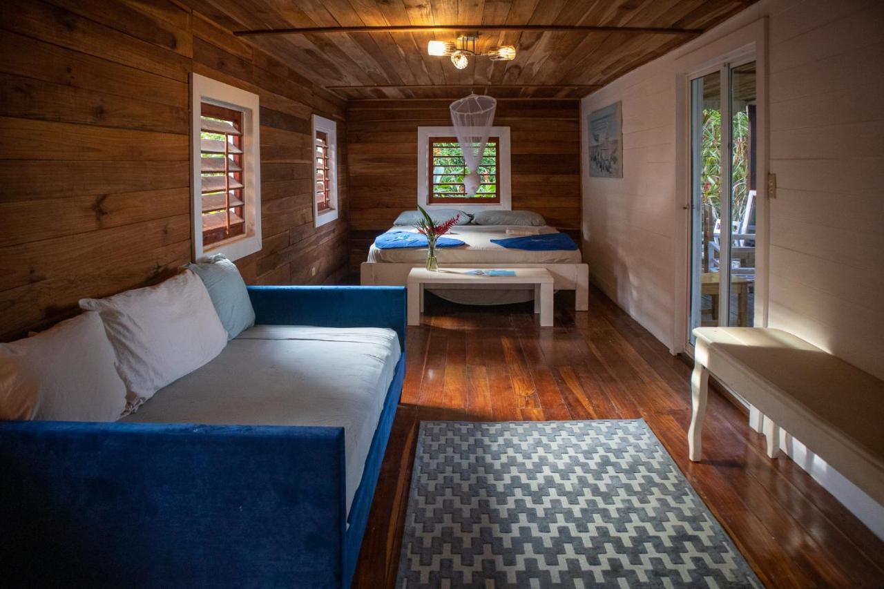 Dolphin Blue Paradise Bocas Town Bagian luar foto