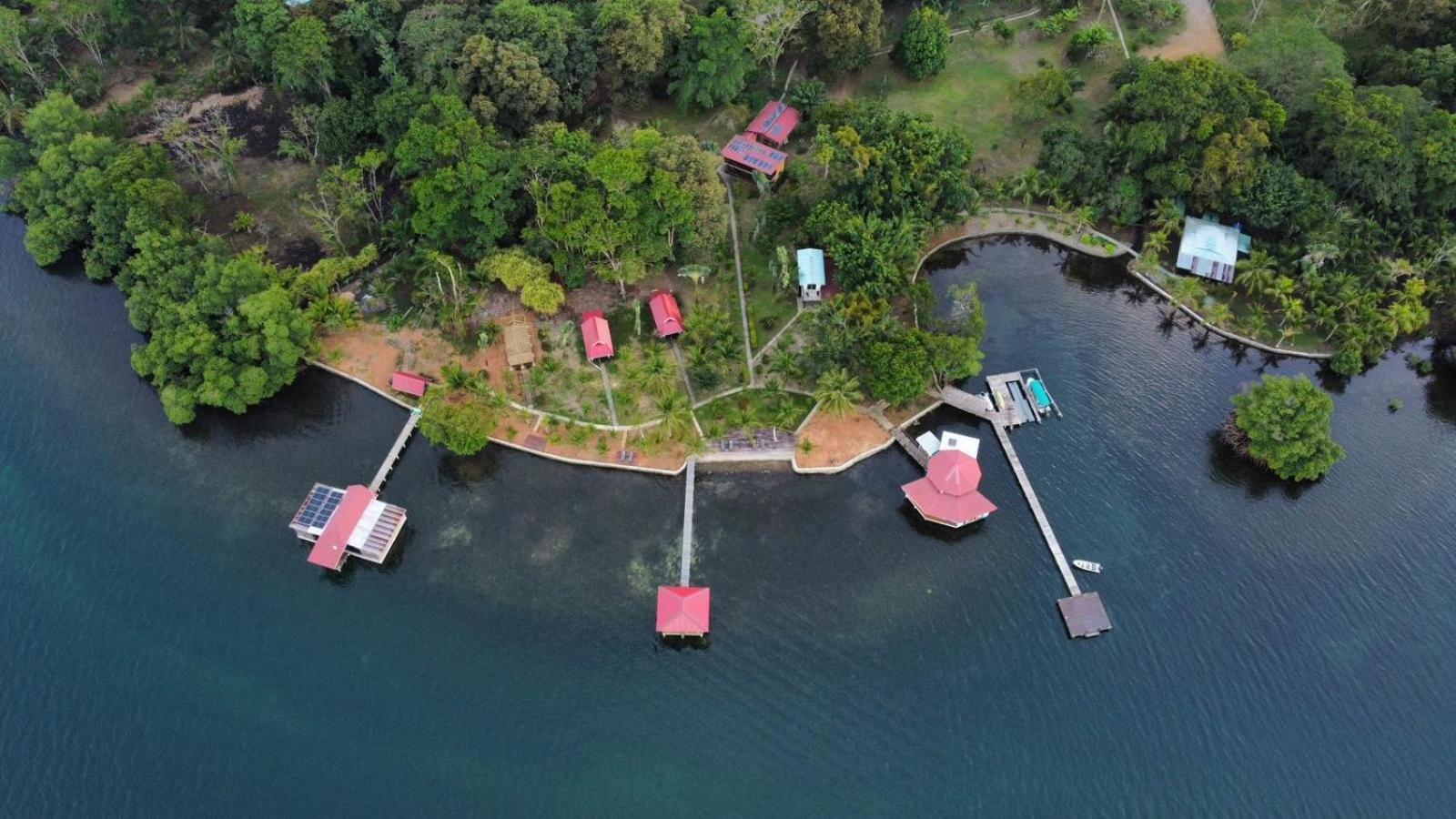 Dolphin Blue Paradise Bocas Town Bagian luar foto
