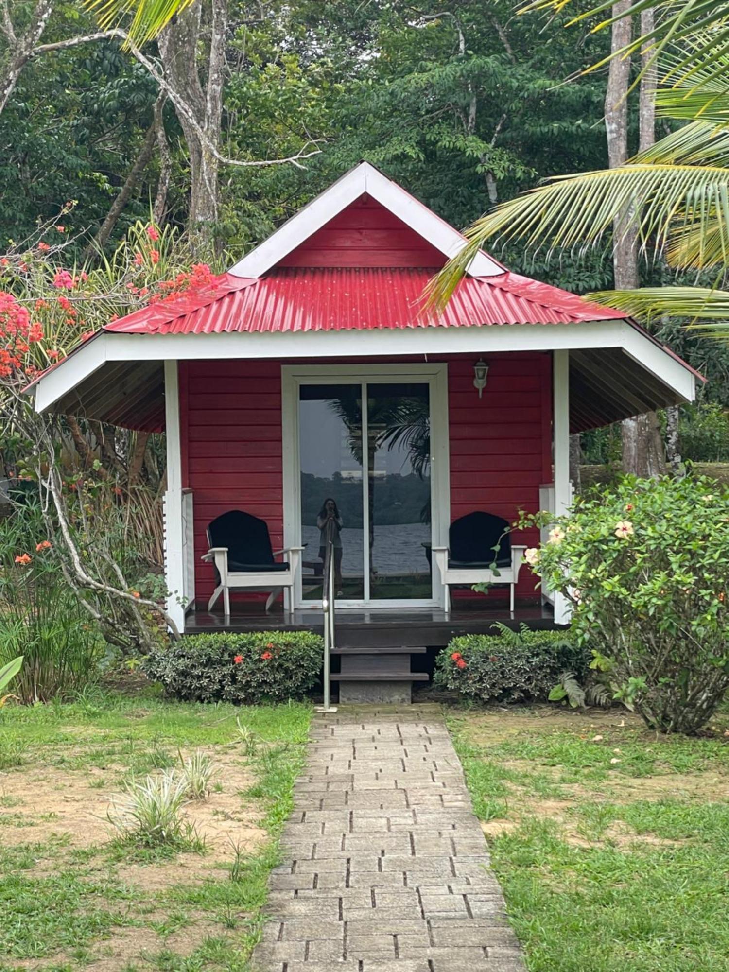Dolphin Blue Paradise Bocas Town Bagian luar foto
