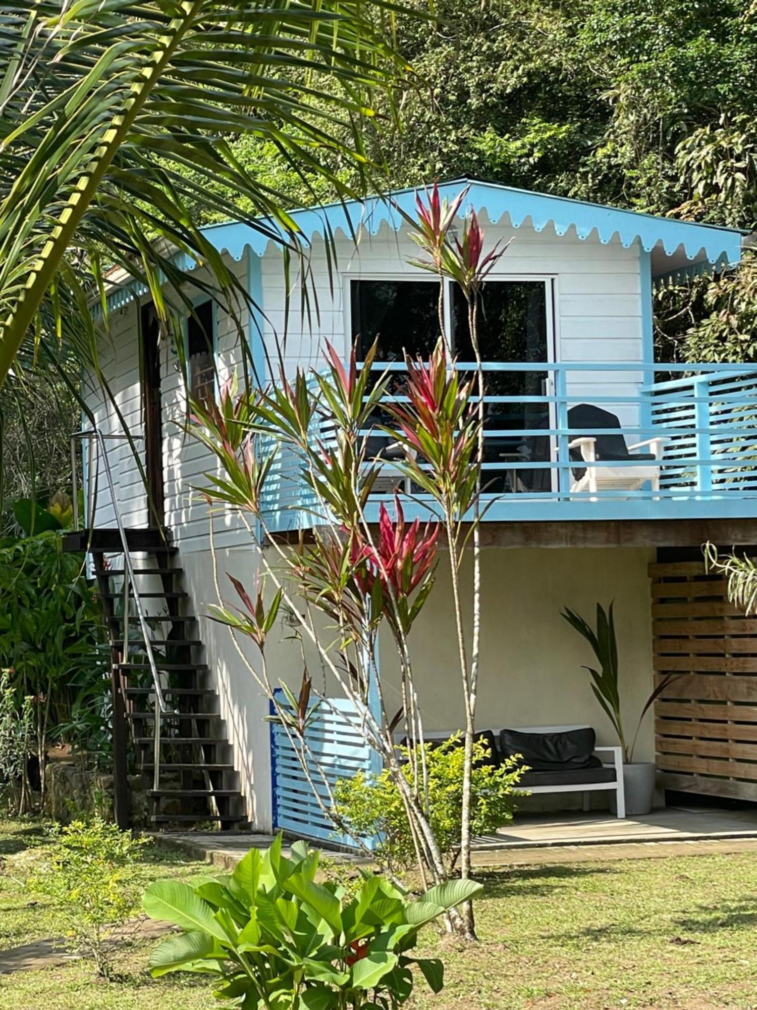 Dolphin Blue Paradise Bocas Town Bagian luar foto