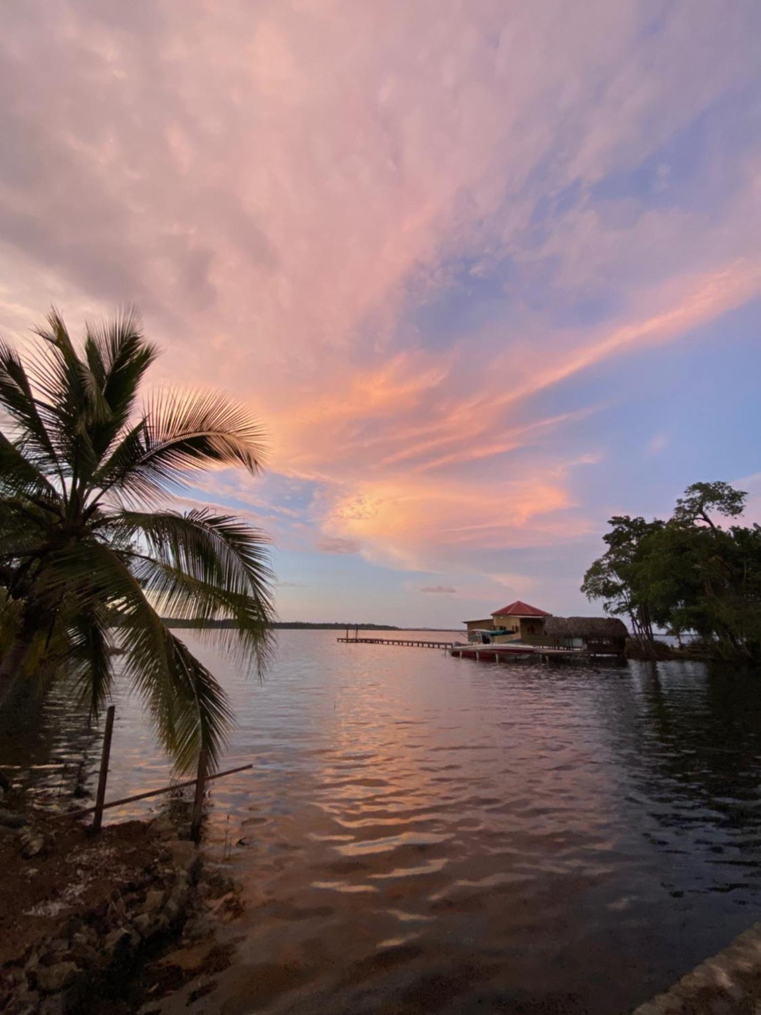 Dolphin Blue Paradise Bocas Town Bagian luar foto
