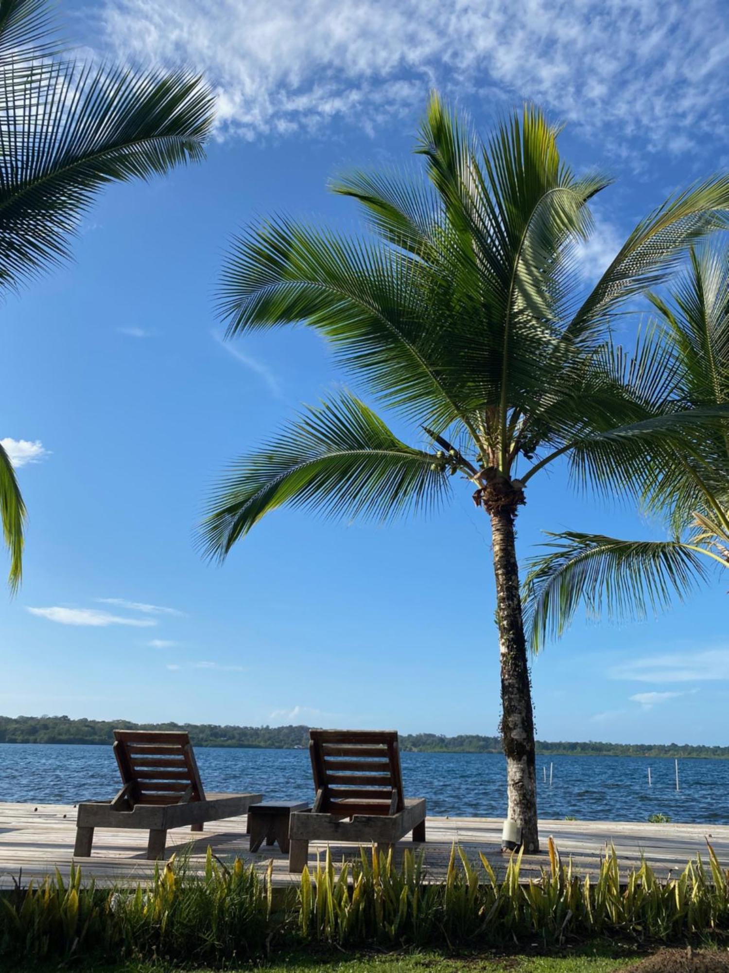 Dolphin Blue Paradise Bocas Town Bagian luar foto
