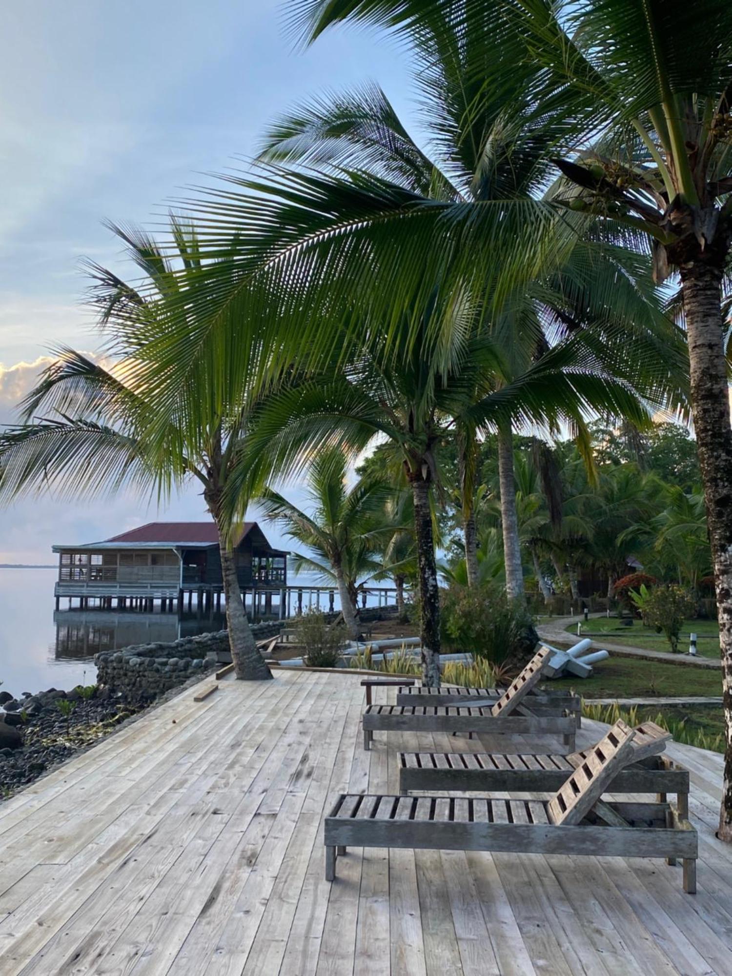 Dolphin Blue Paradise Bocas Town Bagian luar foto
