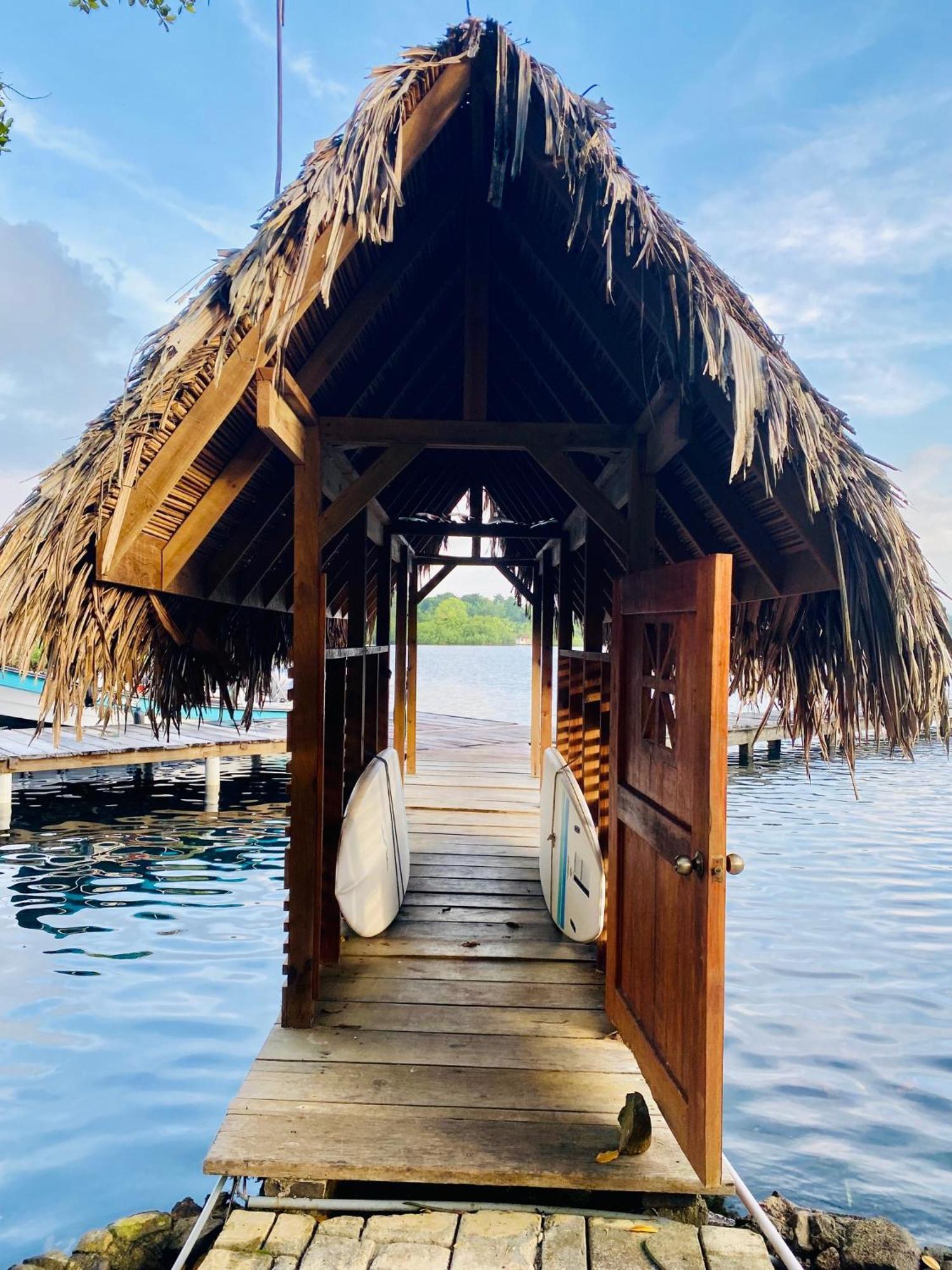 Dolphin Blue Paradise Bocas Town Bagian luar foto