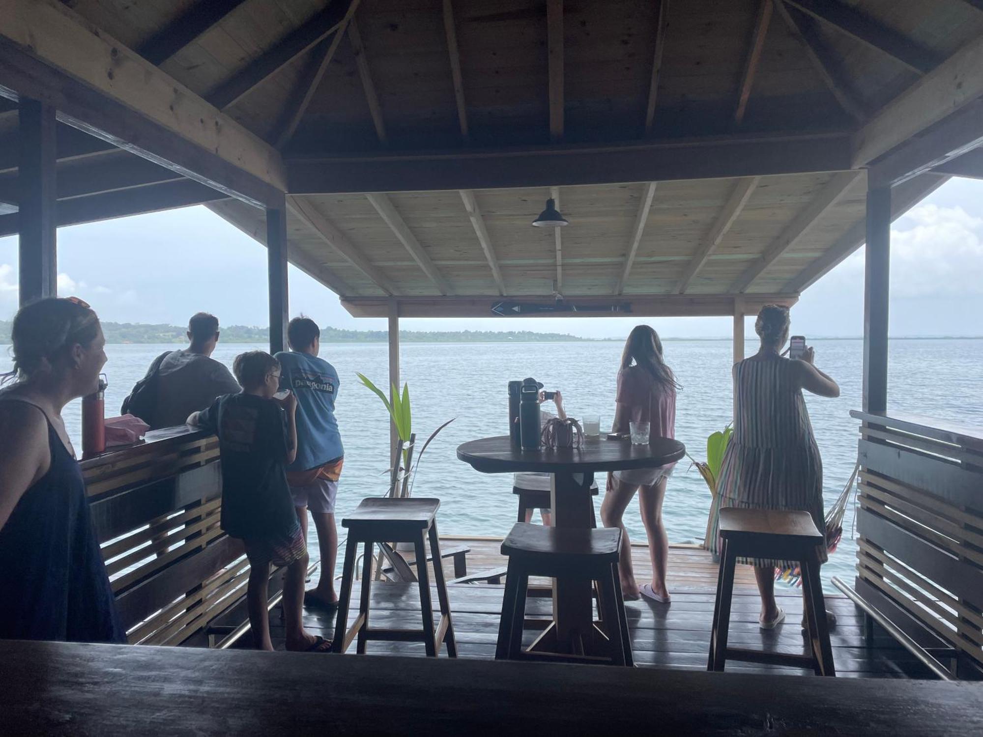 Dolphin Blue Paradise Bocas Town Bagian luar foto