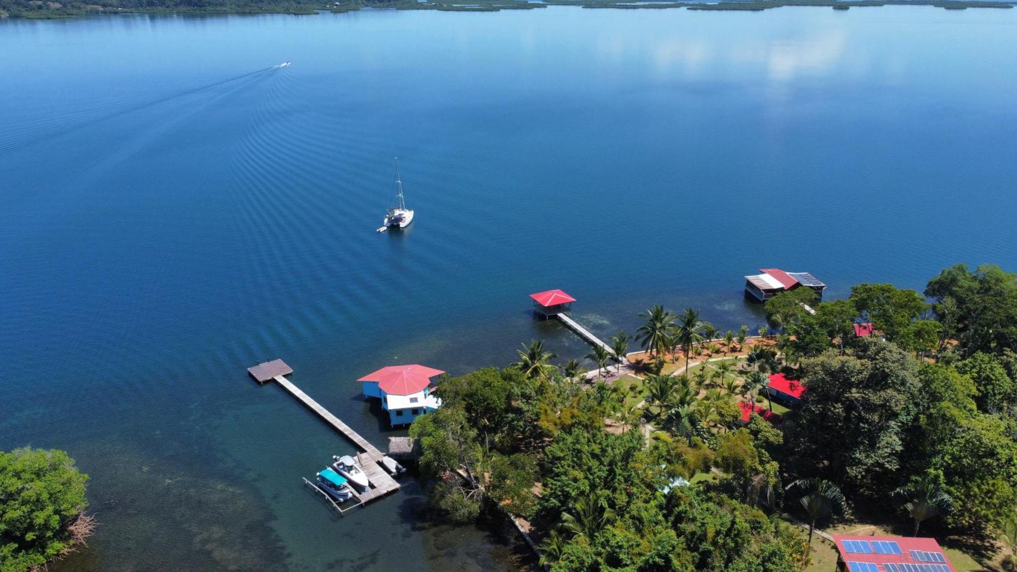 Dolphin Blue Paradise Bocas Town Bagian luar foto