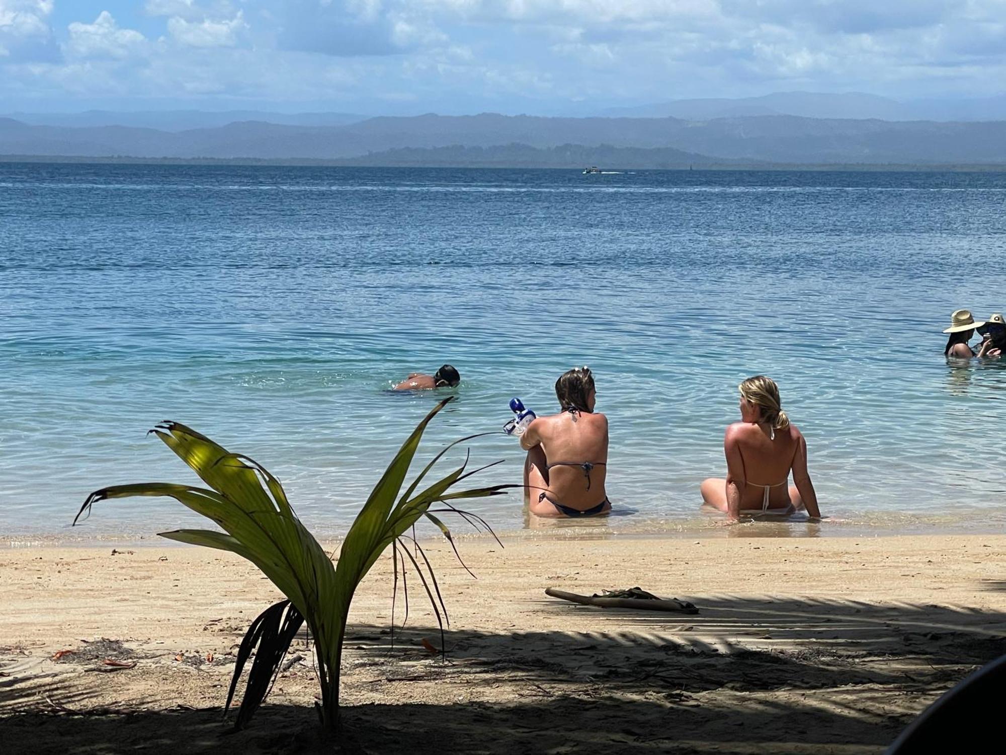 Dolphin Blue Paradise Bocas Town Bagian luar foto
