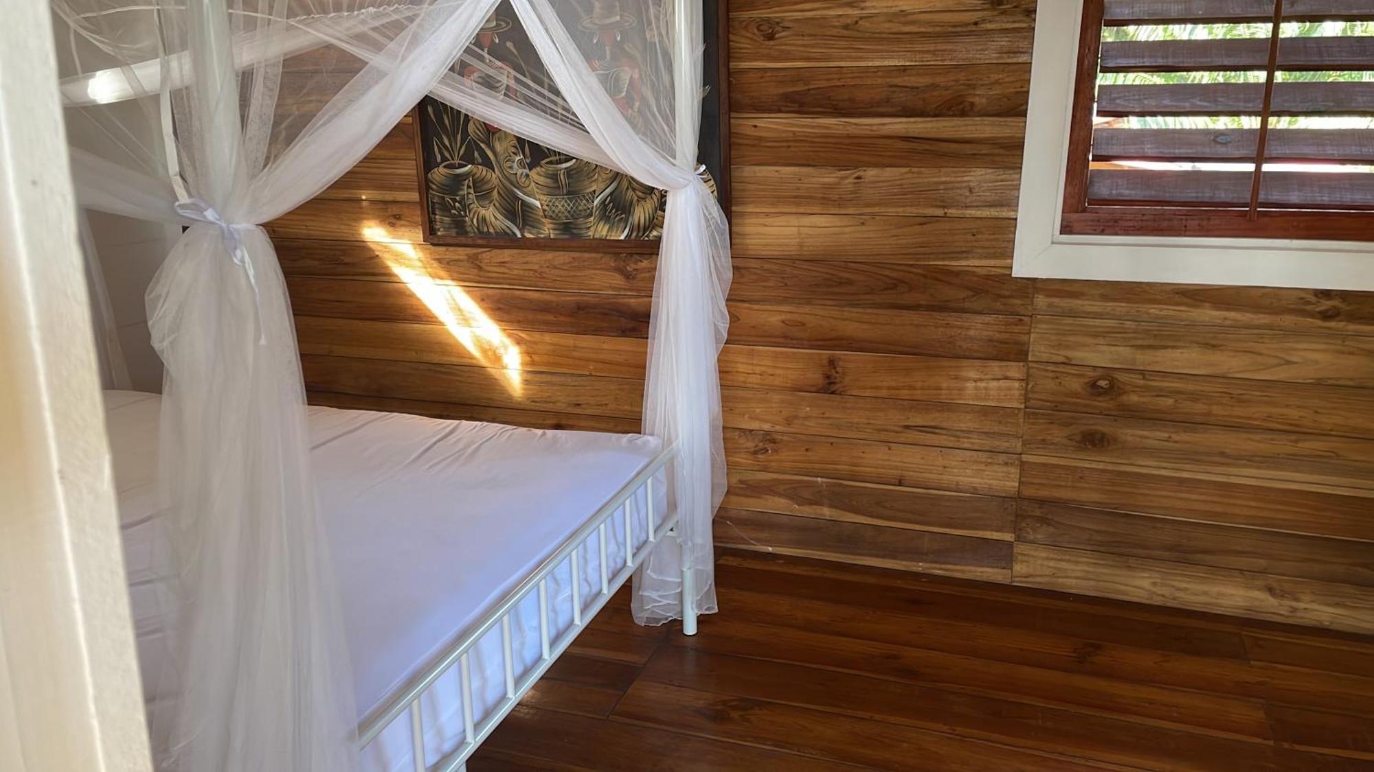 Dolphin Blue Paradise Bocas Town Bagian luar foto