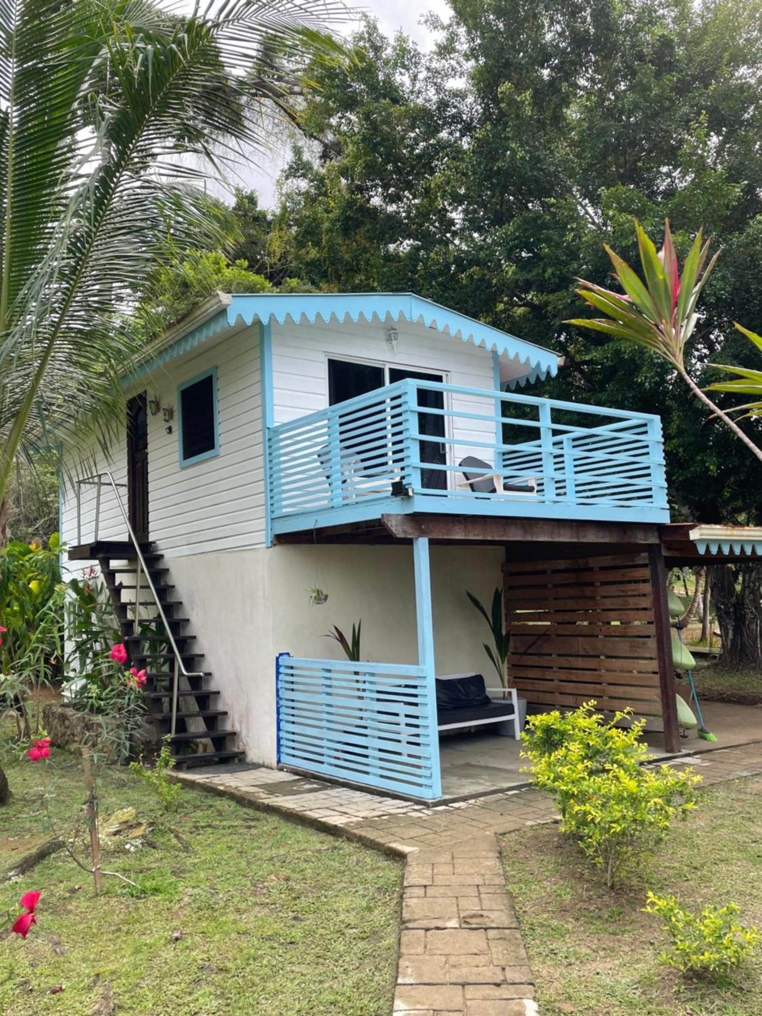 Dolphin Blue Paradise Bocas Town Bagian luar foto