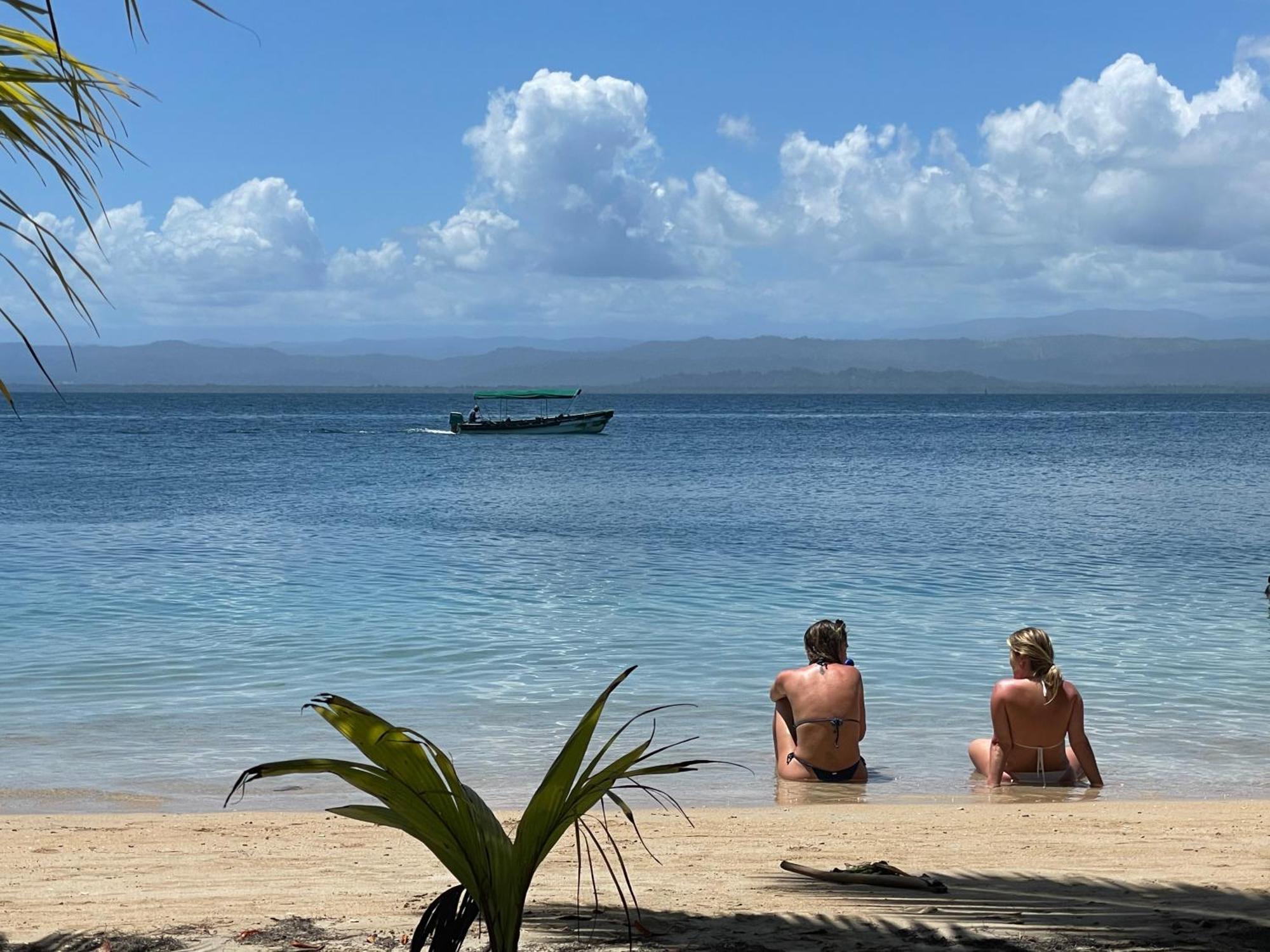 Dolphin Blue Paradise Bocas Town Bagian luar foto
