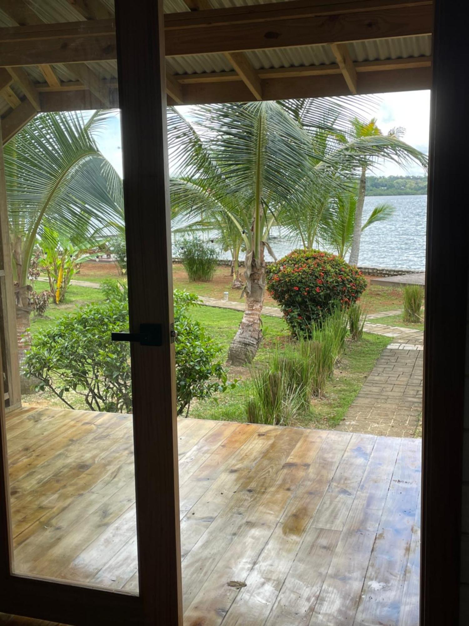 Dolphin Blue Paradise Bocas Town Bagian luar foto