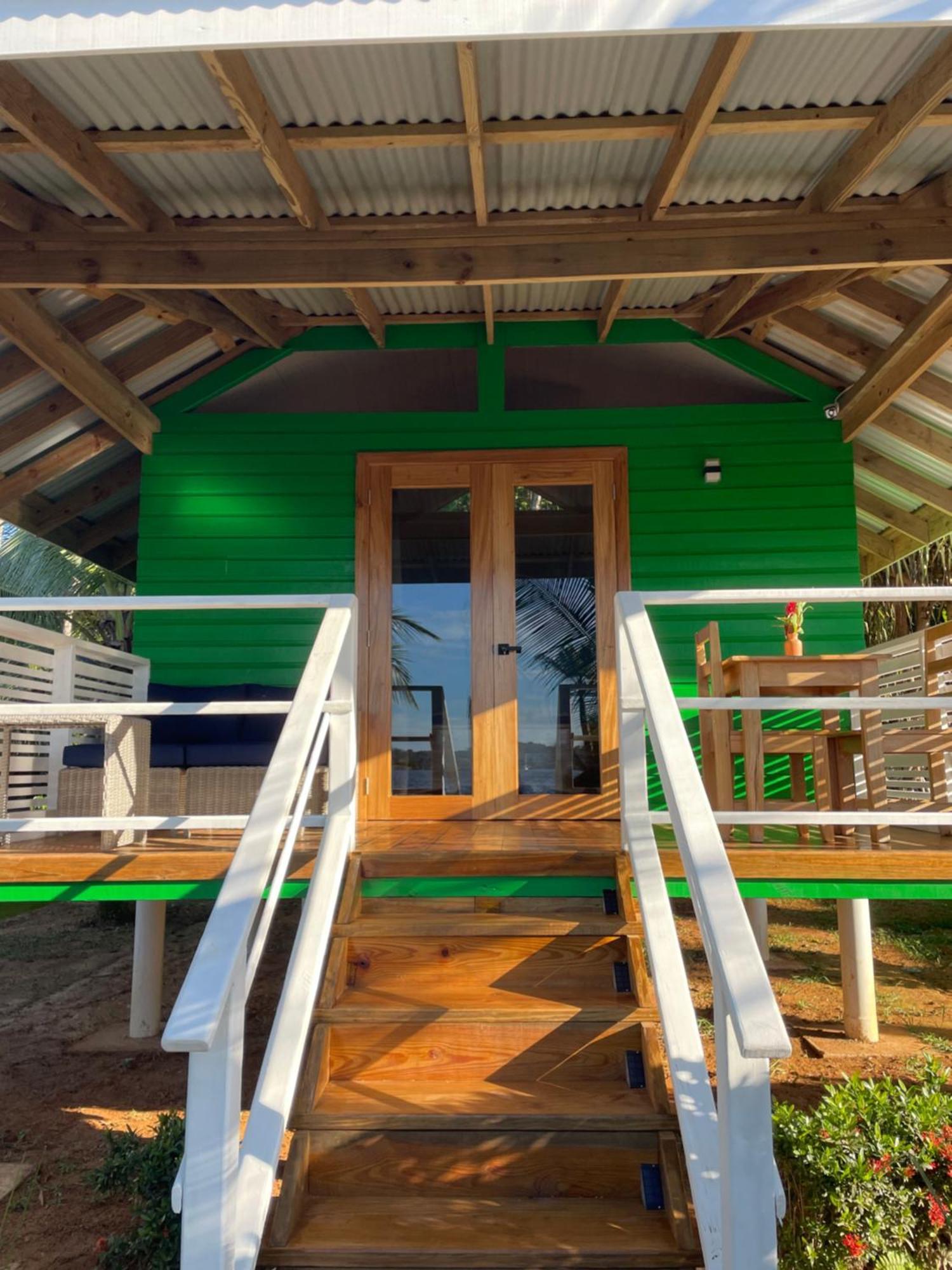 Dolphin Blue Paradise Bocas Town Bagian luar foto