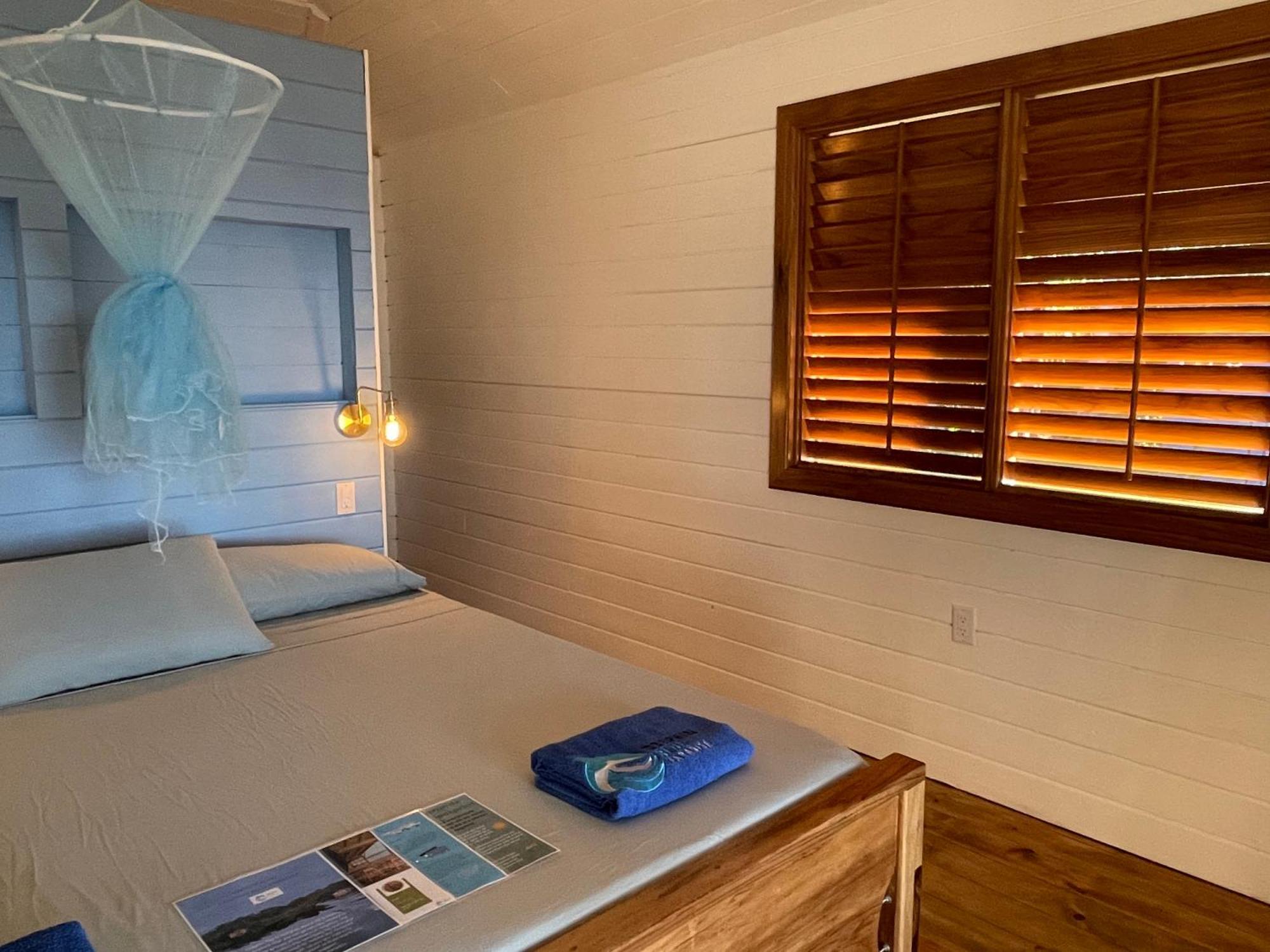Dolphin Blue Paradise Bocas Town Bagian luar foto